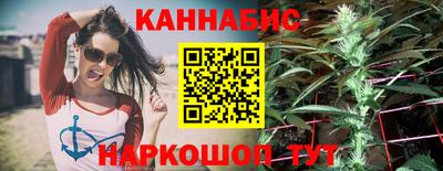 мдпв Татарск