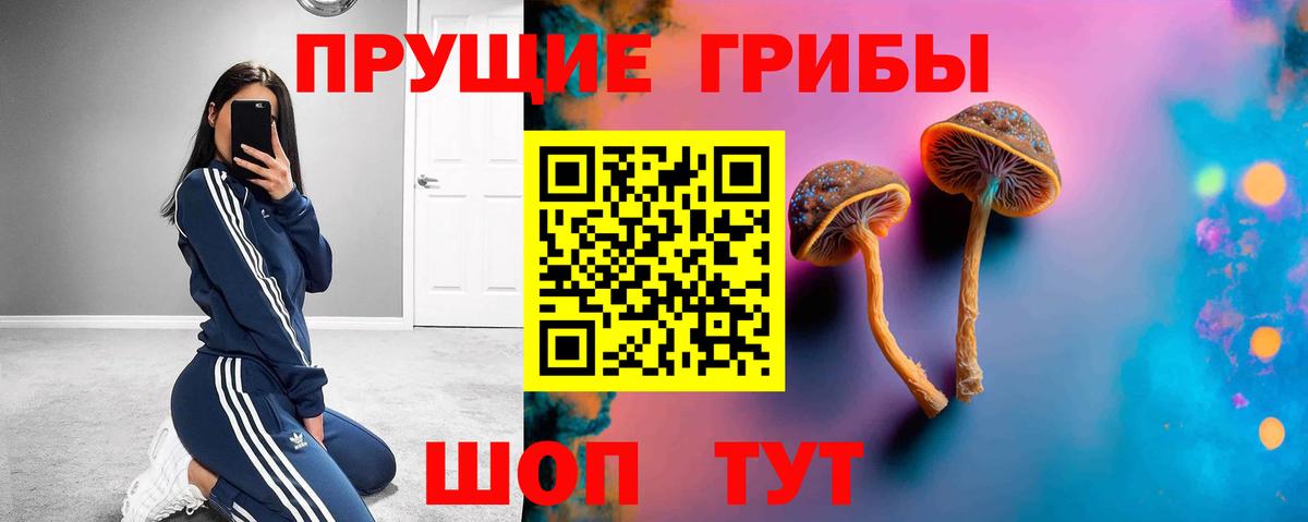 Галлюциногенные грибы GOLDEN TEACHER  Вход с VPN  Псилоцибиновые грибы Psilocybe  Ноябрьск 