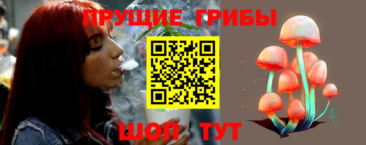 Псилоцибиновые грибы мицелий Ноябрьск